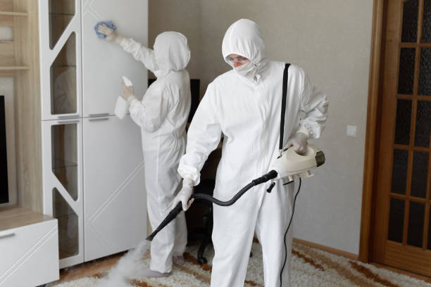 24/7 Emergency Biohazard Cleanup experts in Bellevue, WA